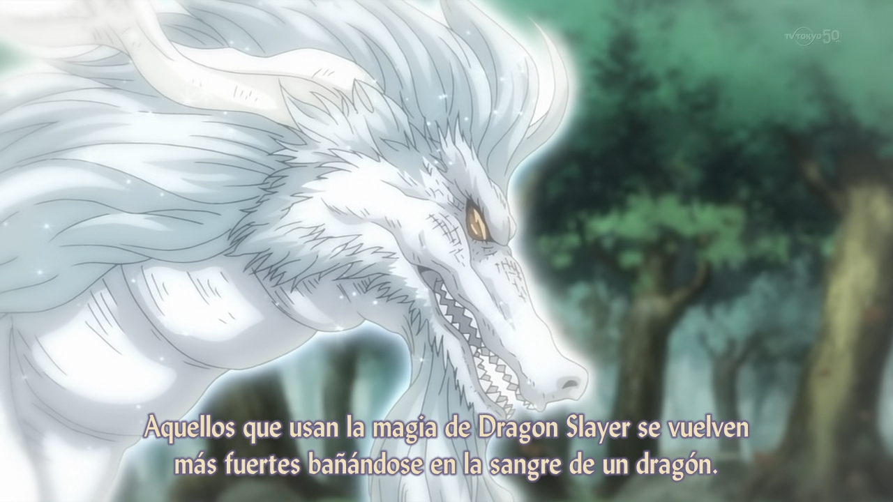 Fairy Tail (2014) (Backbeard)